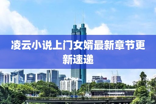 凌云小說上門女婿最新章節更新速遞