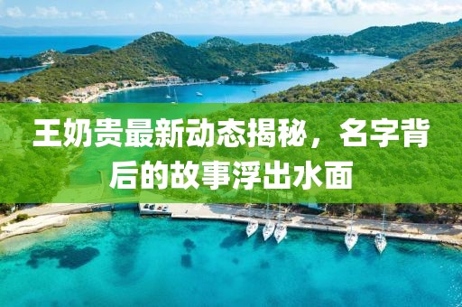 王奶貴最新動態揭秘，名字背后的故事浮出水面