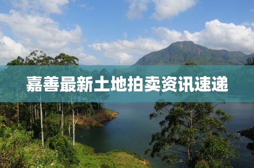 嘉善最新土地拍賣資訊速遞