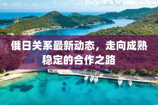 俄日關系最新動態，走向成熟穩定的合作之路