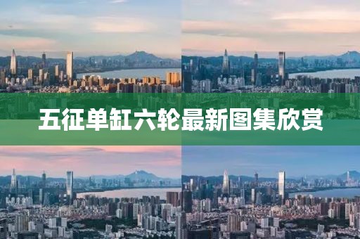 五征單缸六輪最新圖集欣賞