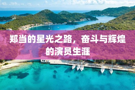 鄭當的星光之路，奮斗與輝煌的演員生涯