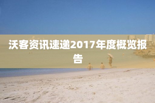 沃客資訊速遞2017年度概覽報告