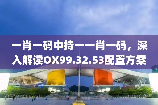 一肖一碼中持一一肖一碼，深入解讀OX99.32.53配置方案