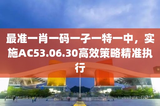 最準一肖一碼一孑一特一中，實施AC53.06.30高效策略精準執行