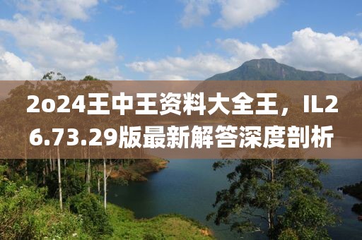 2o24王中王資料大全王，IL26.73.29版最新解答深度剖析