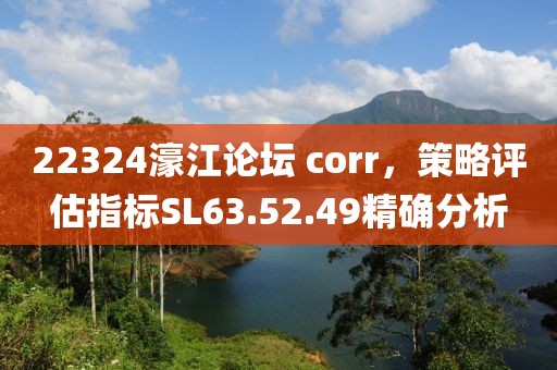 22324濠江論壇 corr，策略評估指標SL63.52.49精確分析