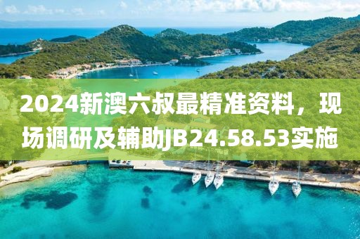 2024新澳六叔最精準資料，現場調研及輔助JB24.58.53實施