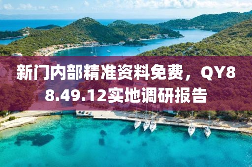 新門內部精準資料免費，QY88.49.12實地調研報告