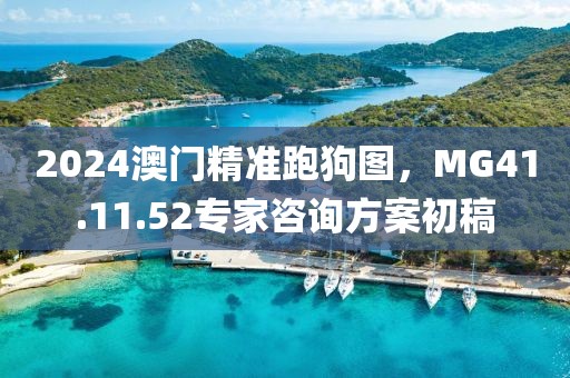 2024澳門精準跑狗圖，MG41.11.52專家咨詢方案初稿