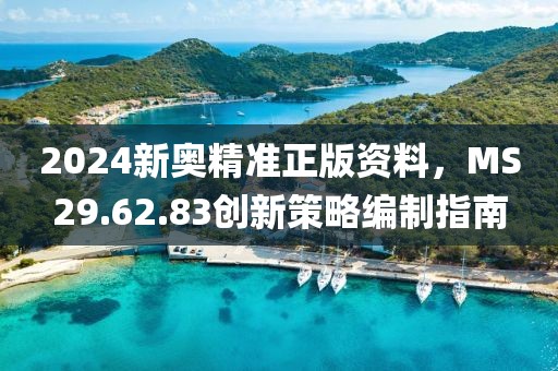2024新奧精準正版資料，MS29.62.83創新策略編制指南