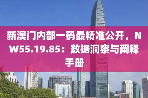 新澳門內部一碼最精準公開，NW55.19.85：數據洞察與闡釋手冊
