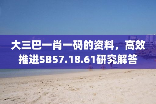 大三巴一肖一碼的資料，高效推進SB57.18.61研究解答