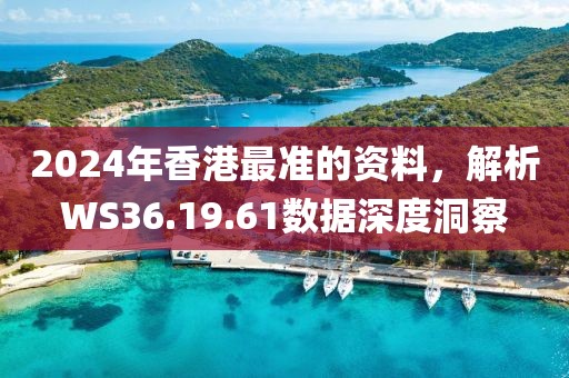 2024年香港最準的資料，解析WS36.19.61數據深度洞察