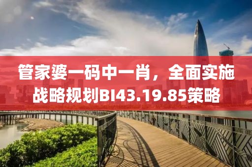 管家婆一碼中一肖，全面實施戰略規劃BI43.19.85策略