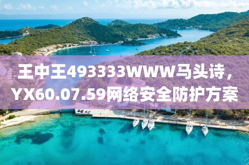 王中王493333WWW馬頭詩，YX60.07.59網絡安全防護方案