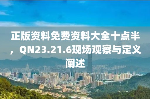 正版資料免費資料大全十點半，QN23.21.6現場觀察與定義闡述