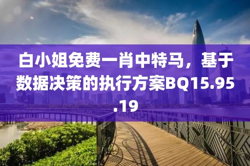 白小姐免費一肖中特馬，基于數據決策的執行方案BQ15.95.19