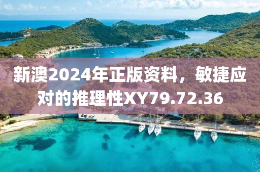 新澳2024年正版資料，敏捷應對的推理性XY79.72.36