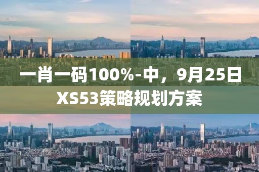 一肖一碼100%-中，9月25日XS53策略規劃方案