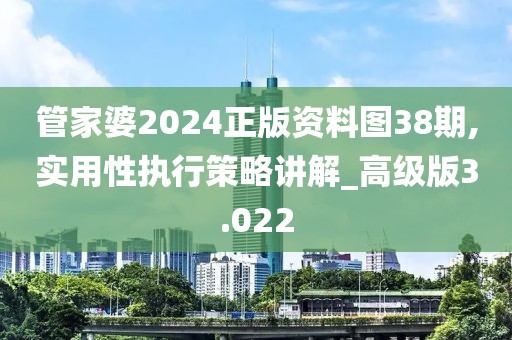 管家婆2024正版資料圖38期,實用性執行策略講解_高級版3.022