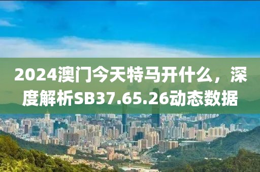 2024澳門今天特馬開什么，深度解析SB37.65.26動態數據