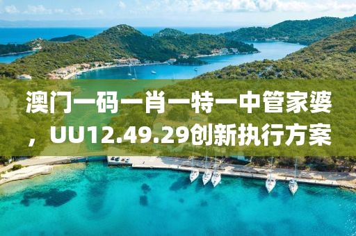 澳門一碼一肖一特一中管家婆，UU12.49.29創新執行方案