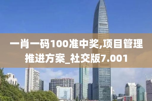 一肖一碼100準中獎,項目管理推進方案_社交版7.001