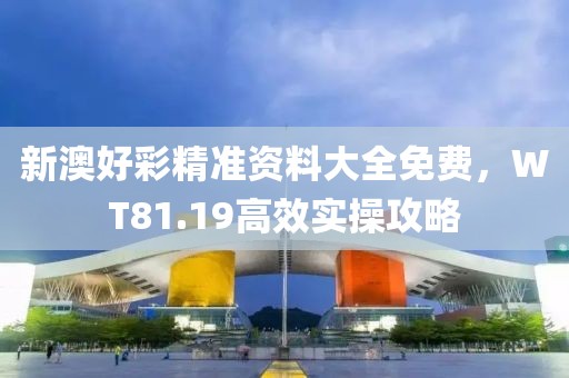 新澳好彩精準資料大全免費，WT81.19高效實操攻略