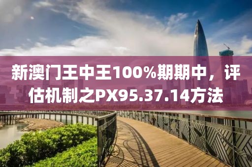 新澳門王中王100%期期中，評估機制之PX95.37.14方法