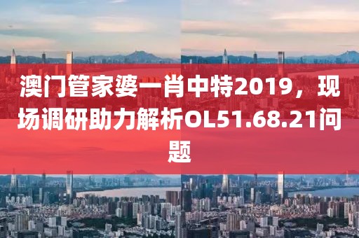 澳門管家婆一肖中特2019，現場調研助力解析OL51.68.21問題