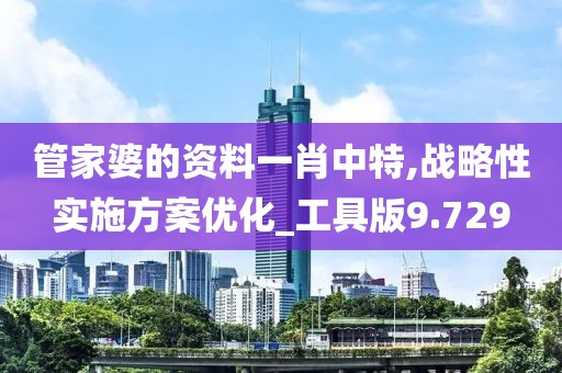 管家婆的資料一肖中特,戰略性實施方案優化_工具版9.729