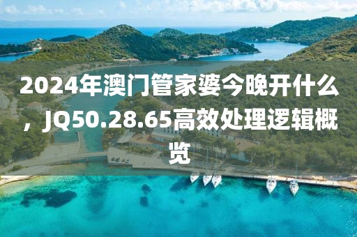2024年澳門管家婆今晚開什么，JQ50.28.65高效處理邏輯概覽