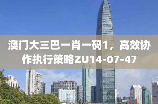 澳門大三巴一肖一碼1，高效協作執行策略ZU14-07-47