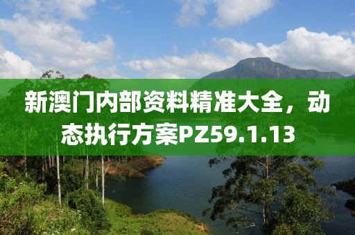 新澳門內部資料精準大全，動態執行方案PZ59.1.13