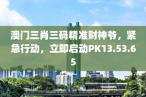 澳門三肖三碼精準財神爺，緊急行動，立即啟動PK13.53.65
