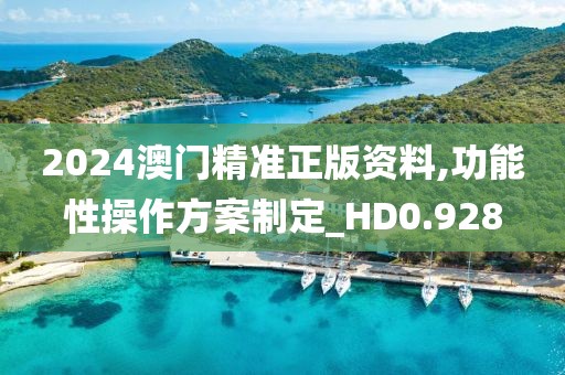 2024澳門精準正版資料,功能性操作方案制定_HD0.928