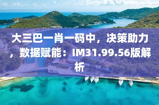 大三巴一肖一碼中，決策助力，數據賦能：IM31.99.56版解析