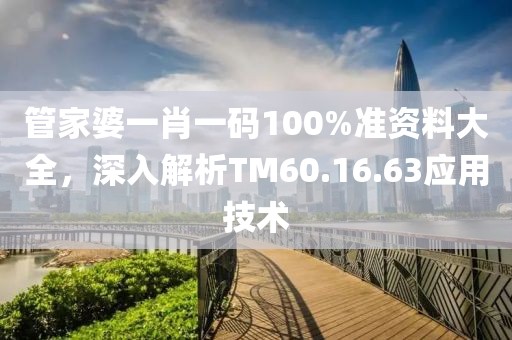 管家婆一肖一碼100%準資料大全，深入解析TM60.16.63應用技術