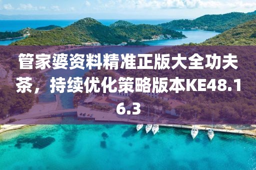 管家婆資料精準正版大全功夫茶，持續優化策略版本KE48.16.3