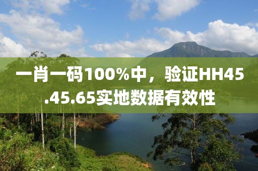 一肖一碼100%中，驗證HH45.45.65實地數據有效性