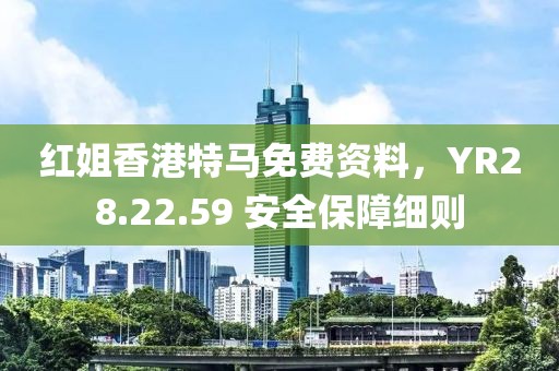 紅姐香港特馬免費資料，YR28.22.59 安全保障細則