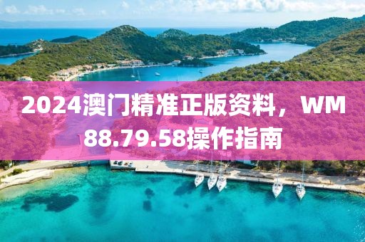2024澳門精準正版資料，WM88.79.58操作指南