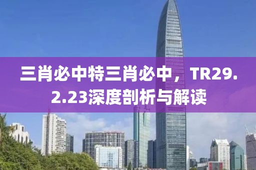 三肖必中特三肖必中，TR29.2.23深度剖析與解讀