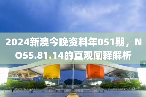 2024新澳今晚資料年051期，NO55.81.14的直觀闡釋解析