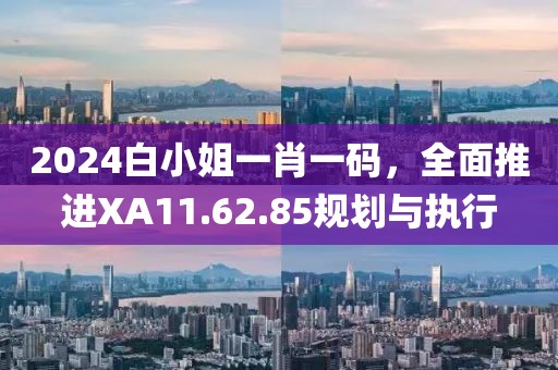 2024白小姐一肖一碼，全面推進XA11.62.85規劃與執行
