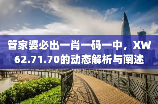 管家婆必出一肖一碼一中，XW62.71.70的動態解析與闡述