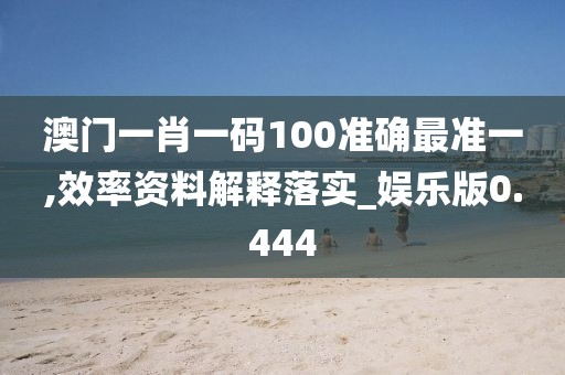 澳門一肖一碼100準確最準一,效率資料解釋落實_娛樂版0.444