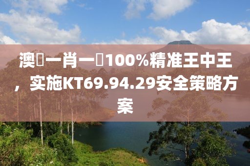 澳門一肖一碼100%精準王中王，實施KT69.94.29安全策略方案