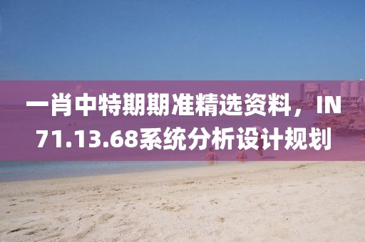 一肖中特期期準精選資料，IN71.13.68系統分析設計規劃